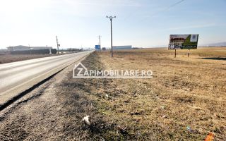 Teren intravilan 20.347 mp in Ungheni - Poză 2