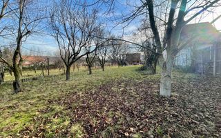 Teren intravilan 1.915 mp + cabană din lemn | Tocile – Sadu - Poză 3