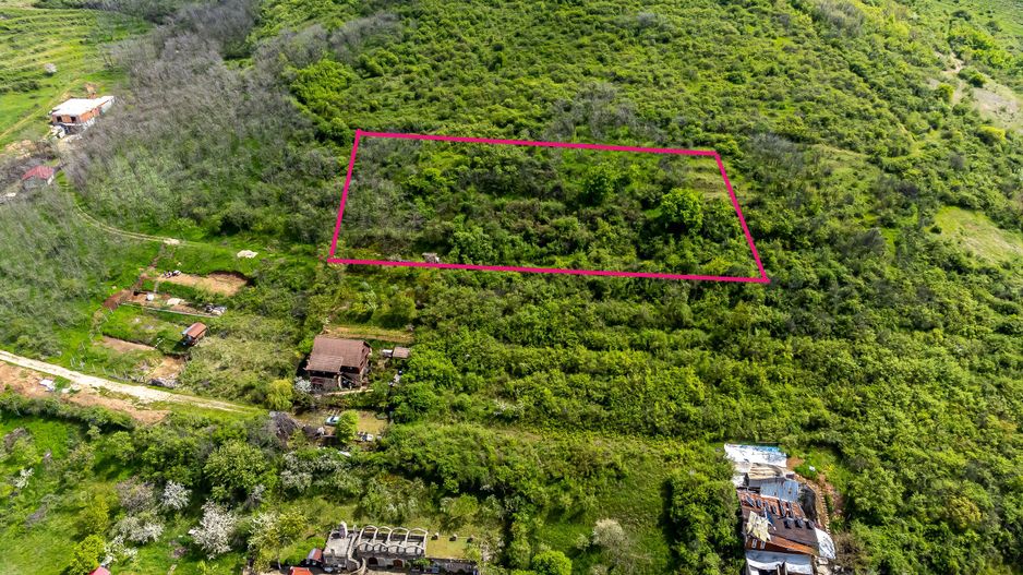 4.300 mp teren pe deal împădurit la Miniș - Poză 1