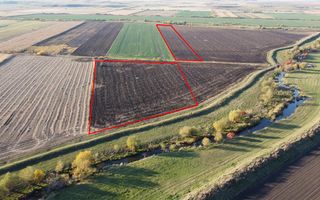 Halchiu Brasov, 80.000 mp teren extravilan - agricol - Poză 5
