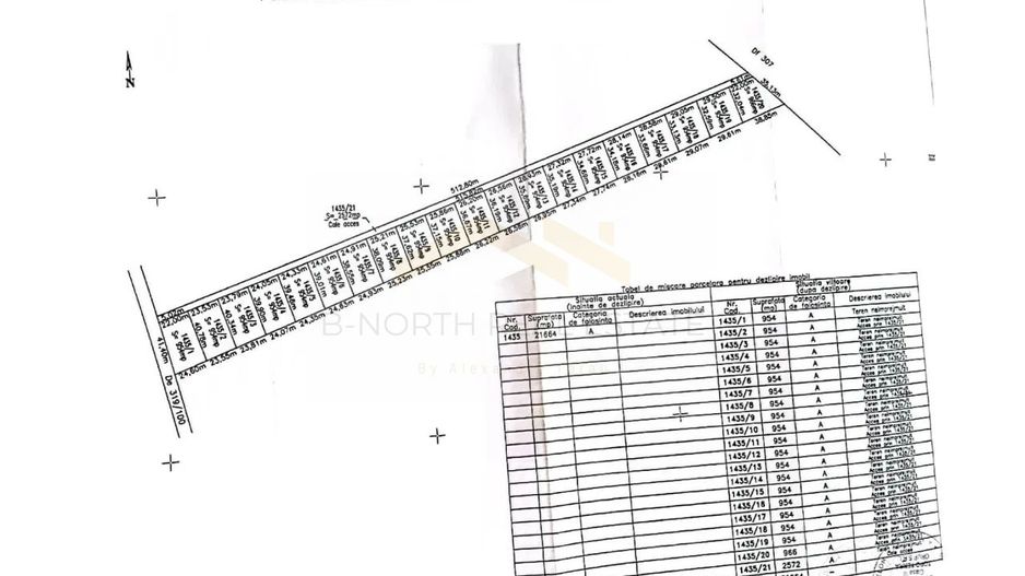 Teren intravilan de vânzare Cernica – Tânganu | 4 loturi x 954 mp | Investiție - Poză 4