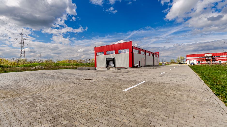 Hală industrială Parc Industrial UTA 2 Arad - Poză 4