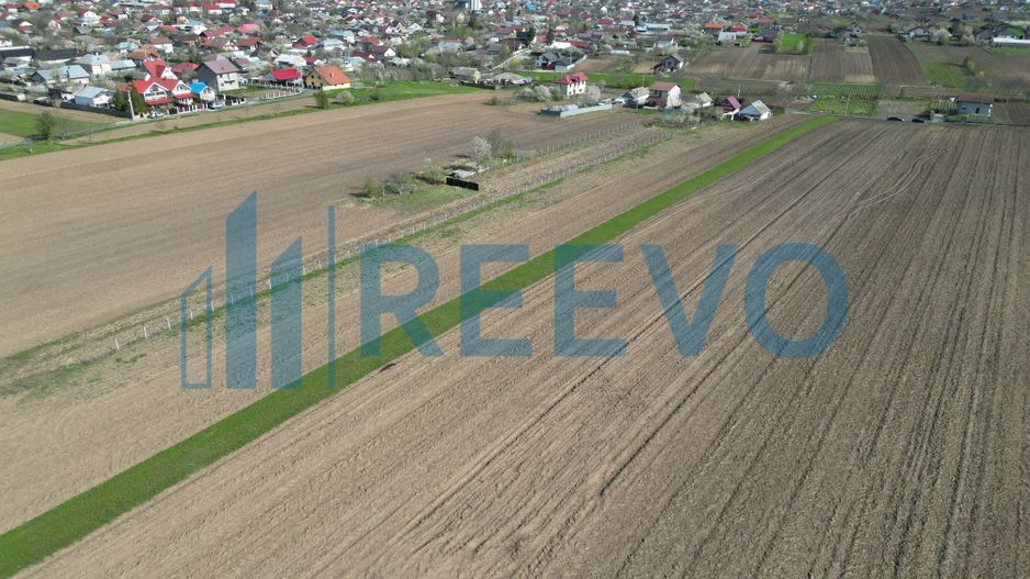 Teren de vânzare, Com. Nicolae Bălcescu, Jud. Bacău - Poză 10