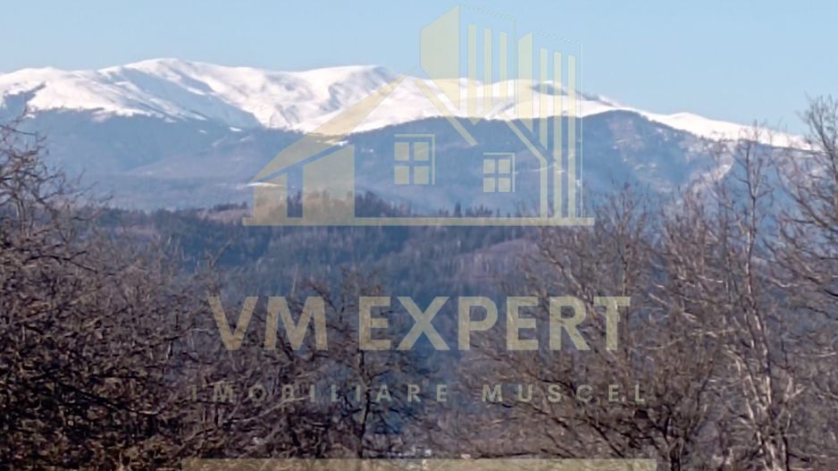 CASA 4 CAMERE TEREN 2500 MP CAMPULUNG - Poză 15