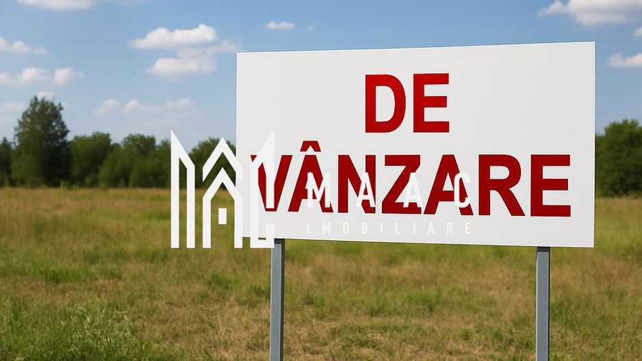 Teren Intravilan | 7.000 MP | Lângă DN1, Sibiu – Brașov - Poză 1