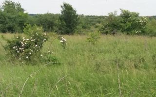 Teren Buftea cu iesire la lac - Poză 22