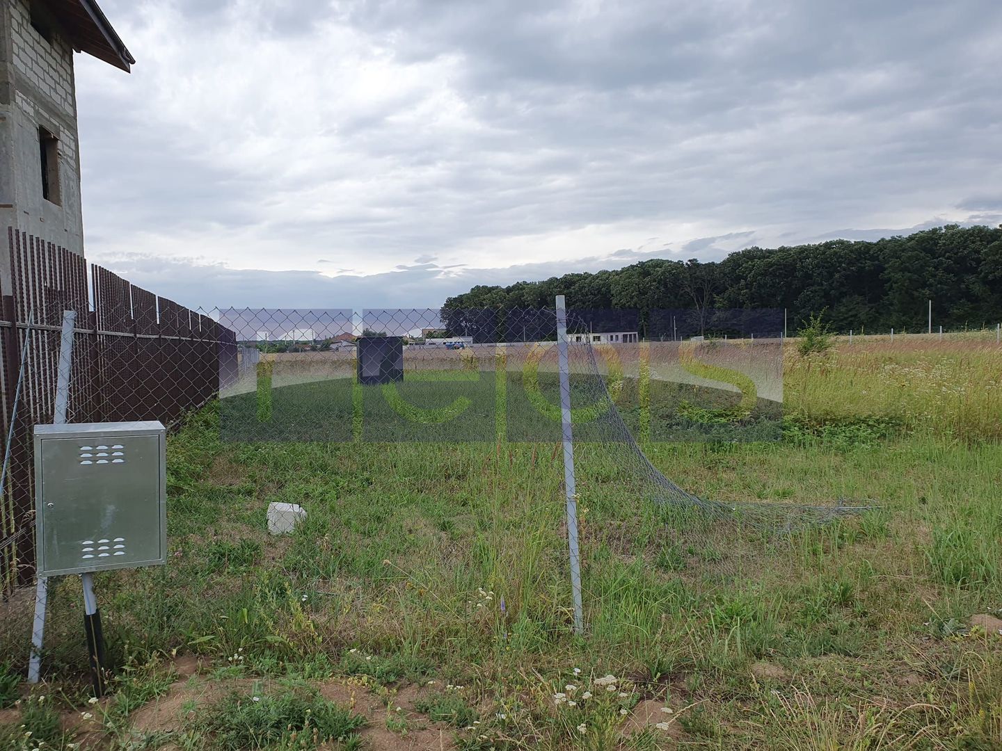 VANZARE TEREN 1500 MP| GHERMANESTI | PADUREA SNAGOV - Poză 1