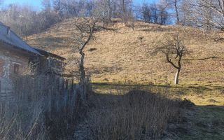 TEREN INTRAVILAN 4614 MP, CAMPULUNG - VALEA ROMANESTILOR - Poză 4