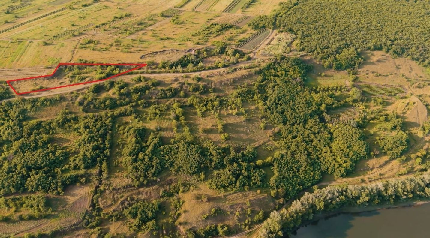 Teren agricol intravilan, 63 ari pe malul Nistrului, Doroțcaia - Poză 1