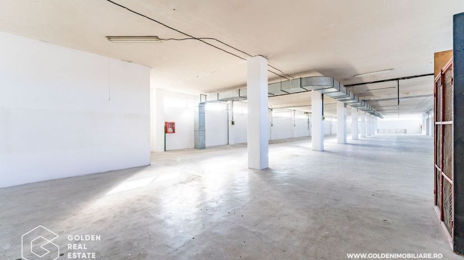 Hala pentu productie In zona Micalaca - Poză 8