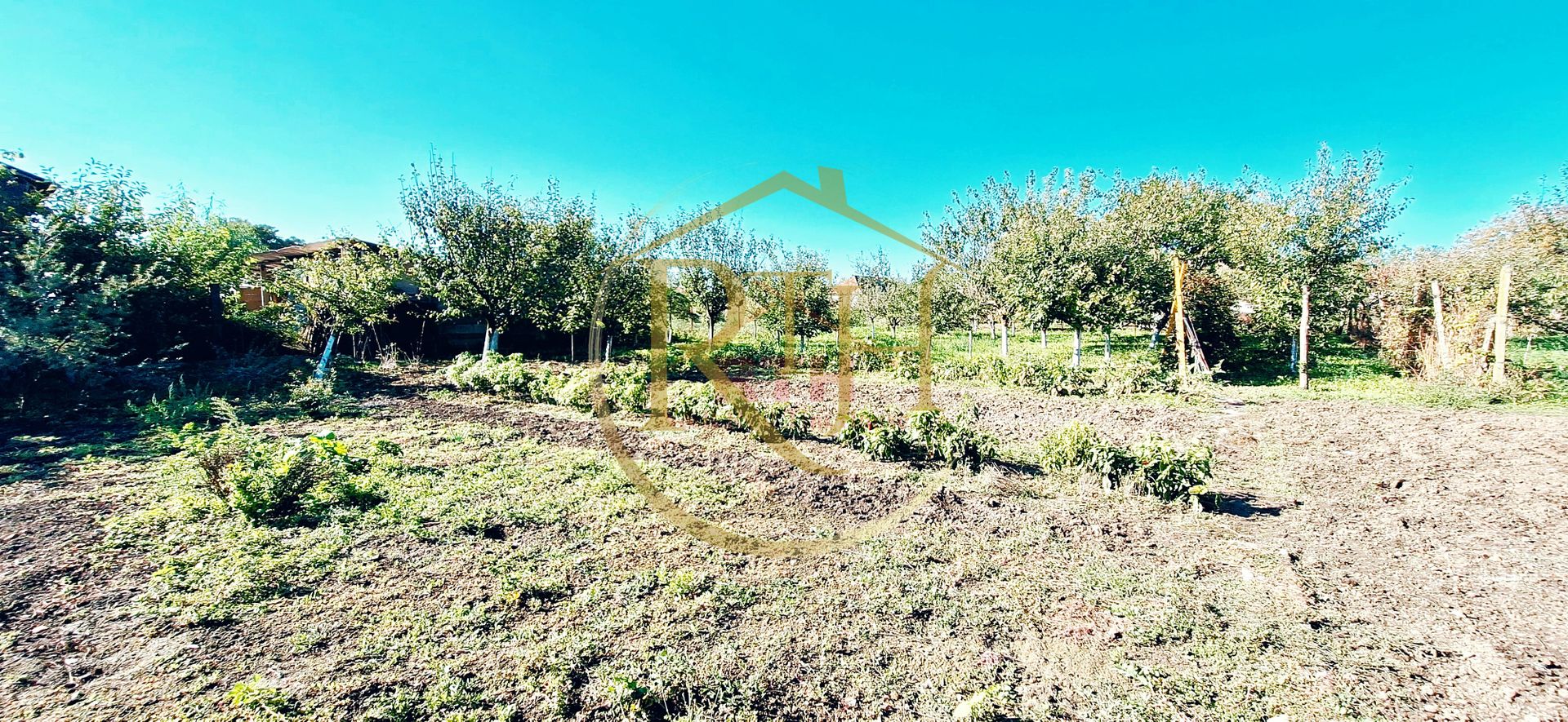 Oferim spre vanzare, Casa cu 5 camere, teren 1500 mp, Beregsau Mare - Poză 7