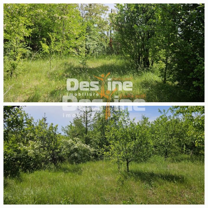 Tomesti-Chicerea, teren intravilan  3523 mp - Poză 5