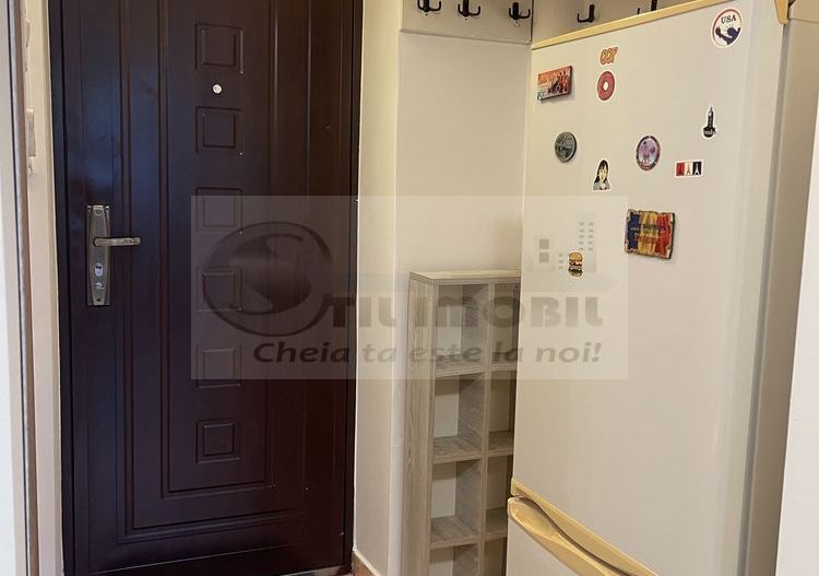 Apartament cu 1 camera ZIMBRU -320 EURO - Poză 6