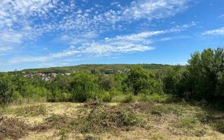 Teren intravilan 1000mp Borhanci - Poză 1