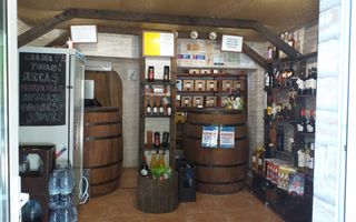 Pantelimon - Doamna Ghica Plaza - Poză 4