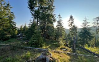 50 hectare teren | Moldova-Sulita | Potential turistic si agricol - Poză 13