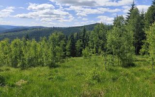 Vânzare, teren, extravilan, Suceava - Poză 2