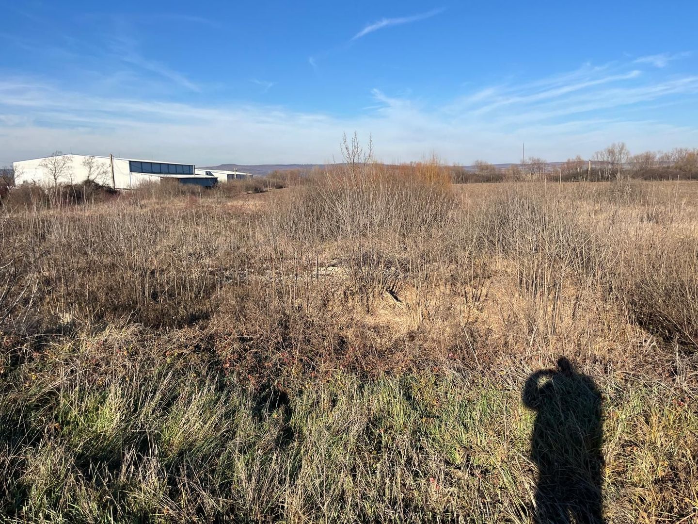 Teren intravilan, Săcădat, 27 921 mp. 9,5 Euro/mp. Comision 0. - Poză 6