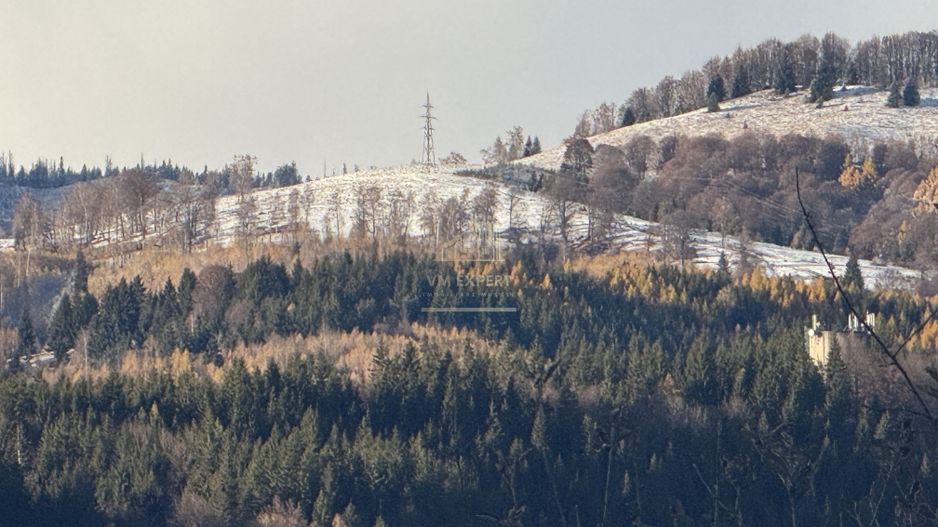 VILA 4 CAMERE, LERESTI, TEREN 3489 MP COMISION 0% CUMPARATOR - Poză 28