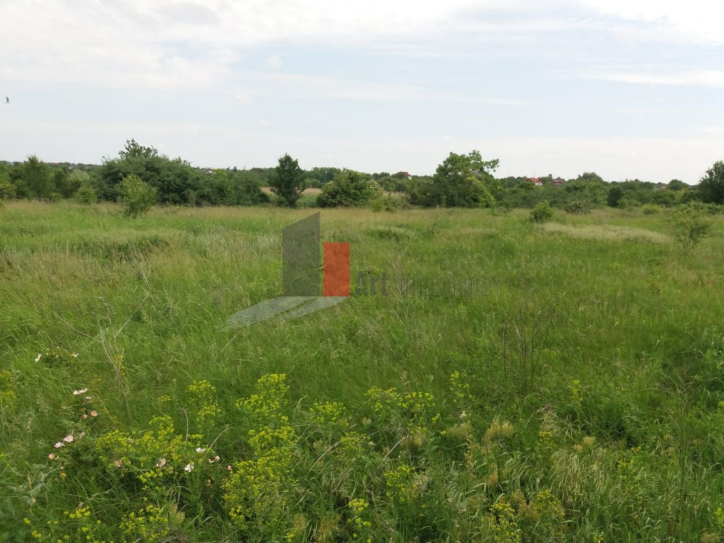 Teren Buftea cu iesire la lac - Poză 15