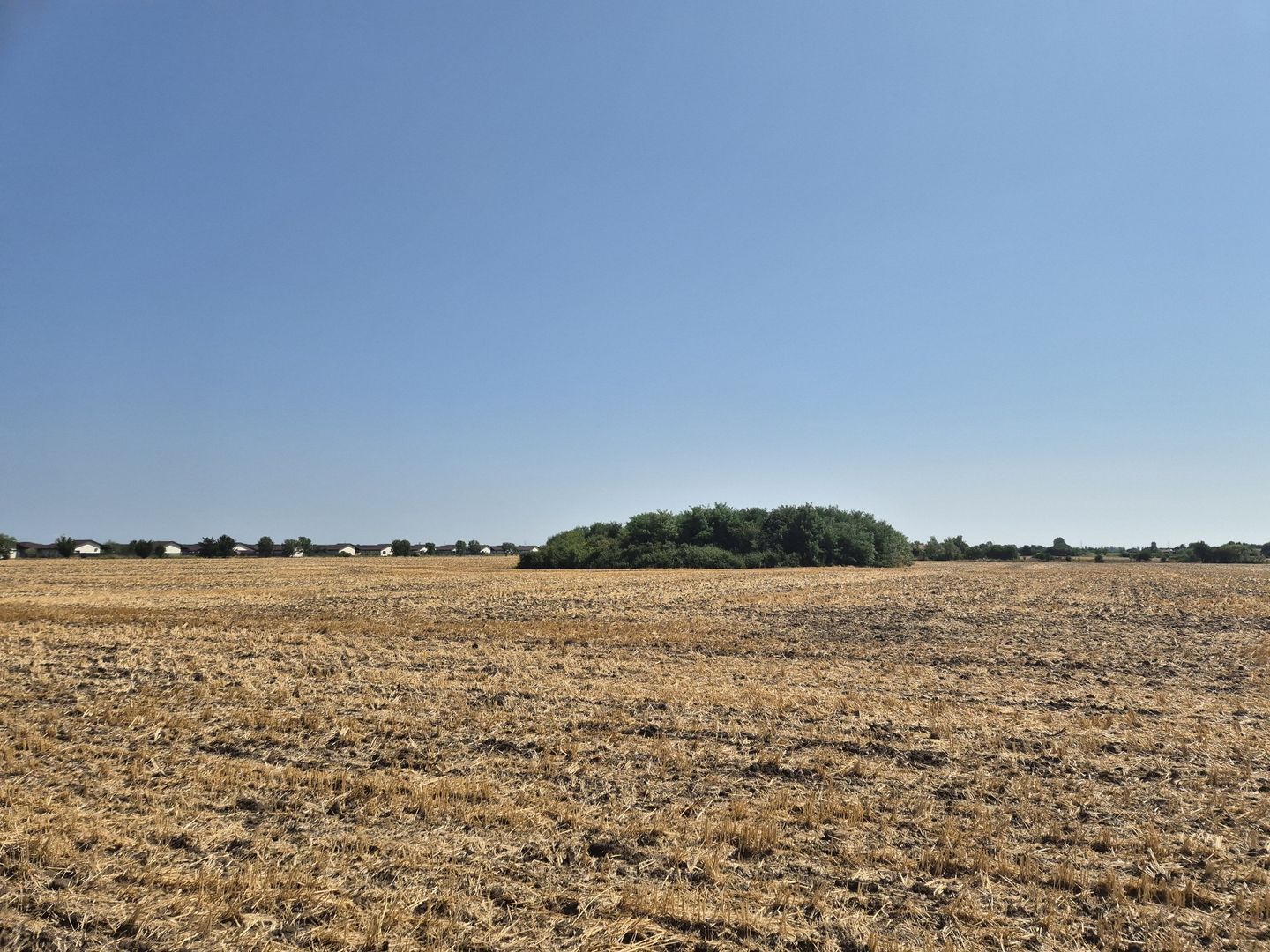 Teren intravilan 4428 mp - Balotesti - Poză 2