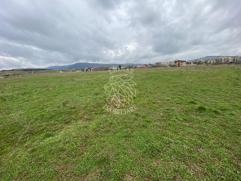 Teren Intravilan 850 mp-drum privat-ideal casa-Zona Zavoaie - Poză 5