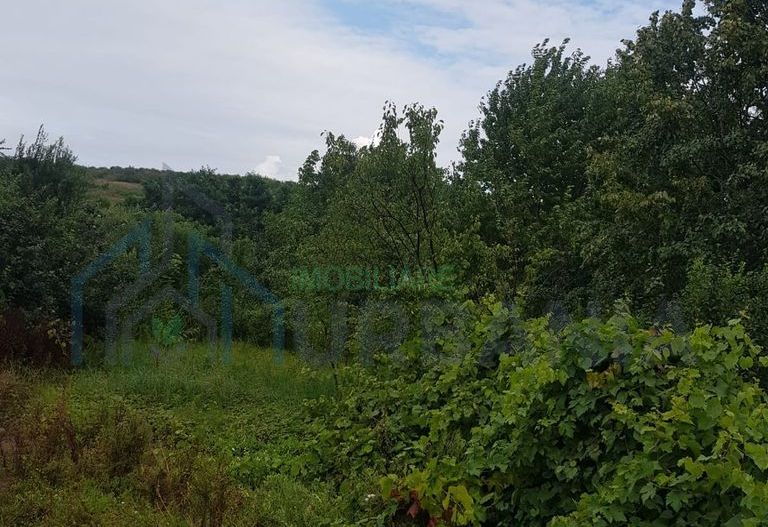 Casă cu 5 camere, mansardă și garaj în cartierul Bucium, Iași - Poză 4