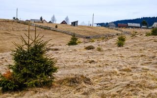 3149 MP in Statiunea Turistica Montana, Belis - Cluj, VEDERE LA LAC - Poză 5