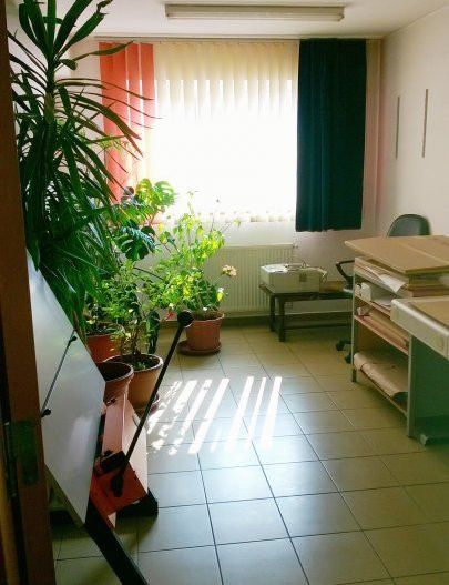 Casa/Vila/Spatiu comercial  Rahova-Sos.Salaj - Poză 13