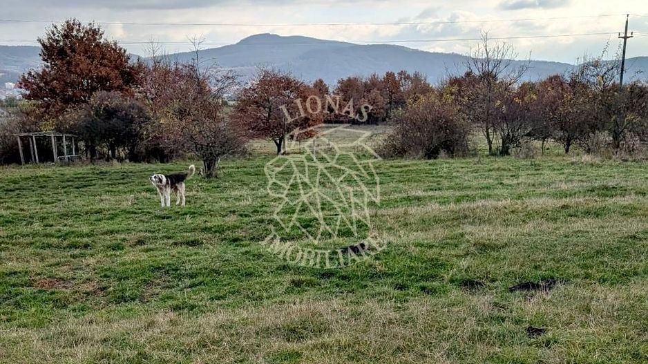 Teren intravilan 716 mp-ideal casa, investitie-Zona Dr. Dumitrei - Poză 2