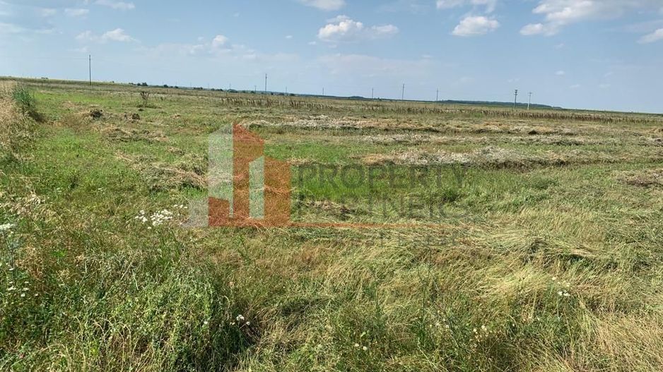 Teren pentru investitii rezidentiale, Moara Vlasiei, Caciulati, A3 - Poză 1