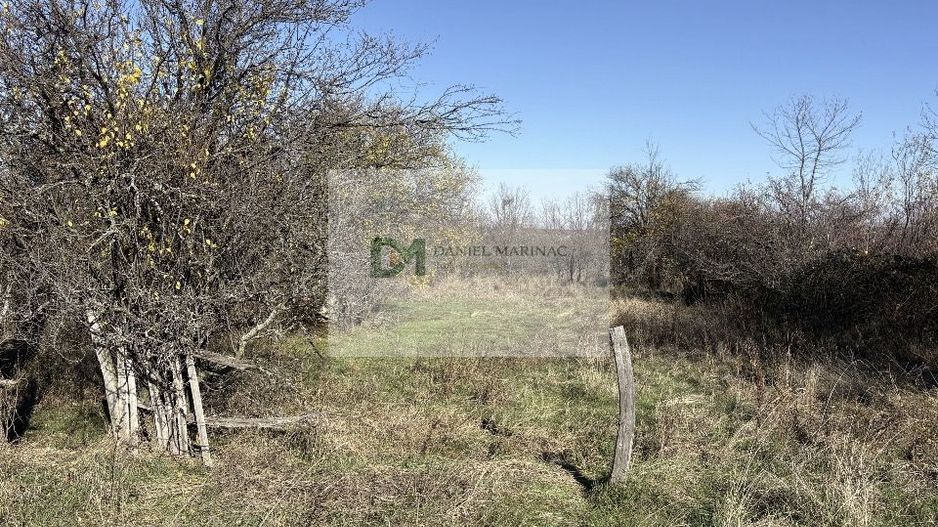 Teren langa padure, liniste, aer curat la 11 km de Pitesti - Poză 2