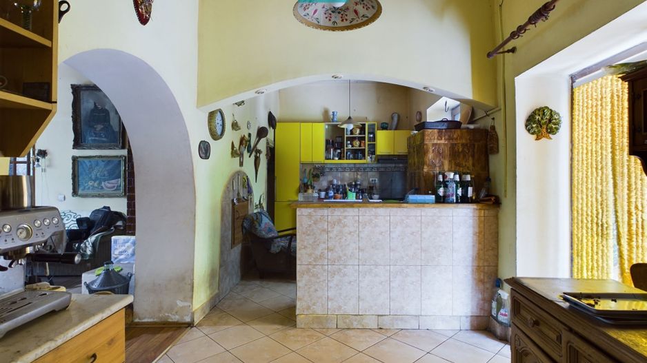 Casă cu livadă de pomi în Dorobanți - Poză 6