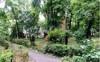 Apartament 2 camere | Zona Medicină-Tipografilor | Baie renovată | Balcon închis | Proprietar - Poză 7