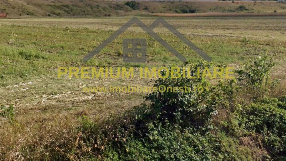 Teren 7.400 mp, deschidere 40 m la DN11, Târgu Trotuș - Poză 1