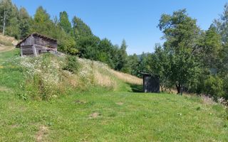 Teren extravilan investiție Rachitele Cluj - 31.555 mp - Poză 4