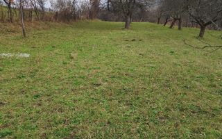 Teren 3966 mp-2 deschideri-curent-investitie-Budacu de Jos - Poză 5