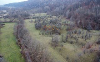 Teren 36000 m2, intravilan+partial extravilan, cadastru, Draganeasa PH - Poză 6