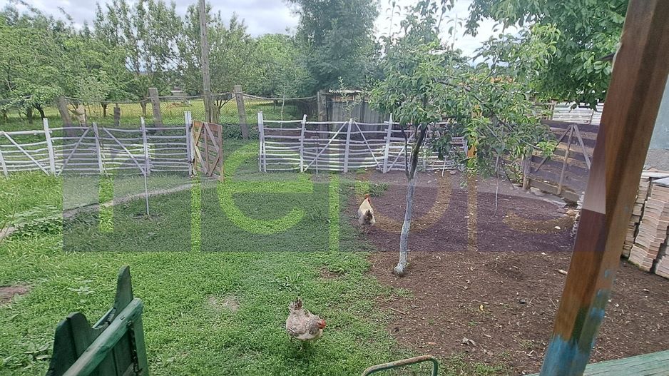 VANZARE CASA | TEREN 2.500 MP | LIVADA SI GRADINA | COMUNA BEUCA, TELEORMAN - Poză 6
