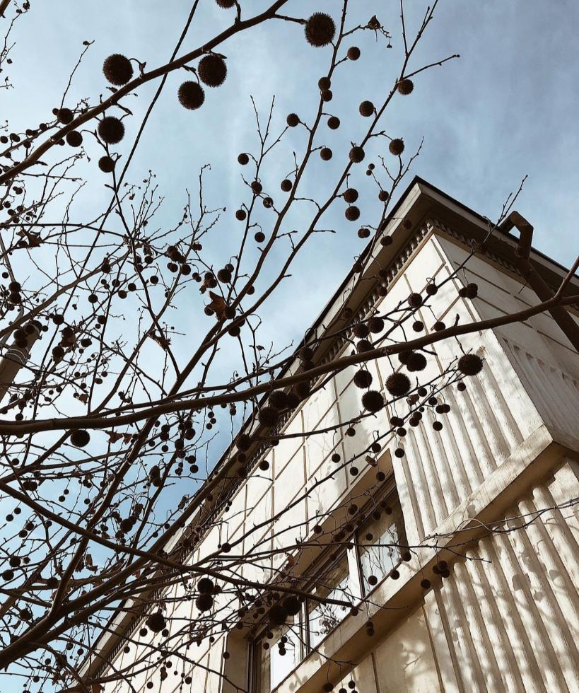 Vila cu terasa si curte de inchiriat (ideal firma), Parcul Carol - Unirii - Poză 13