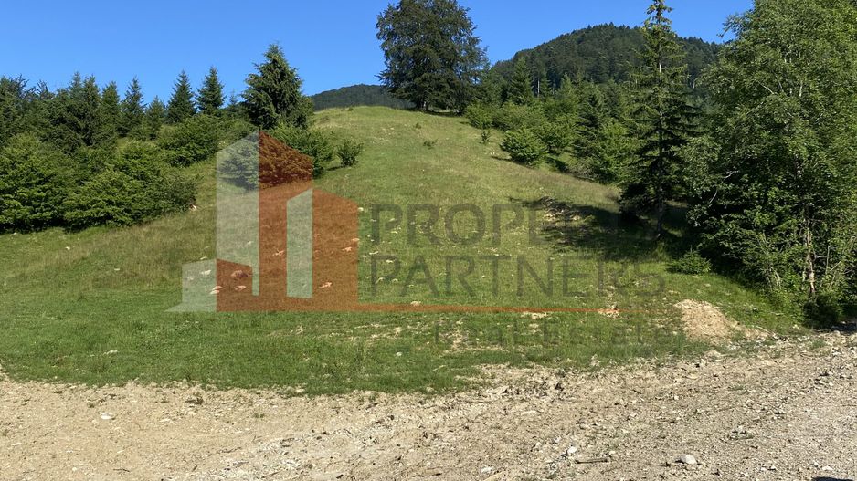 Teren 14400 mp la iesire din Rasnov inspre Pârâul Rece-Trei Brazi - Poză 4