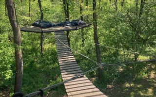 Casa la padure de inchiriat Moara Vlasiei - Poză 8