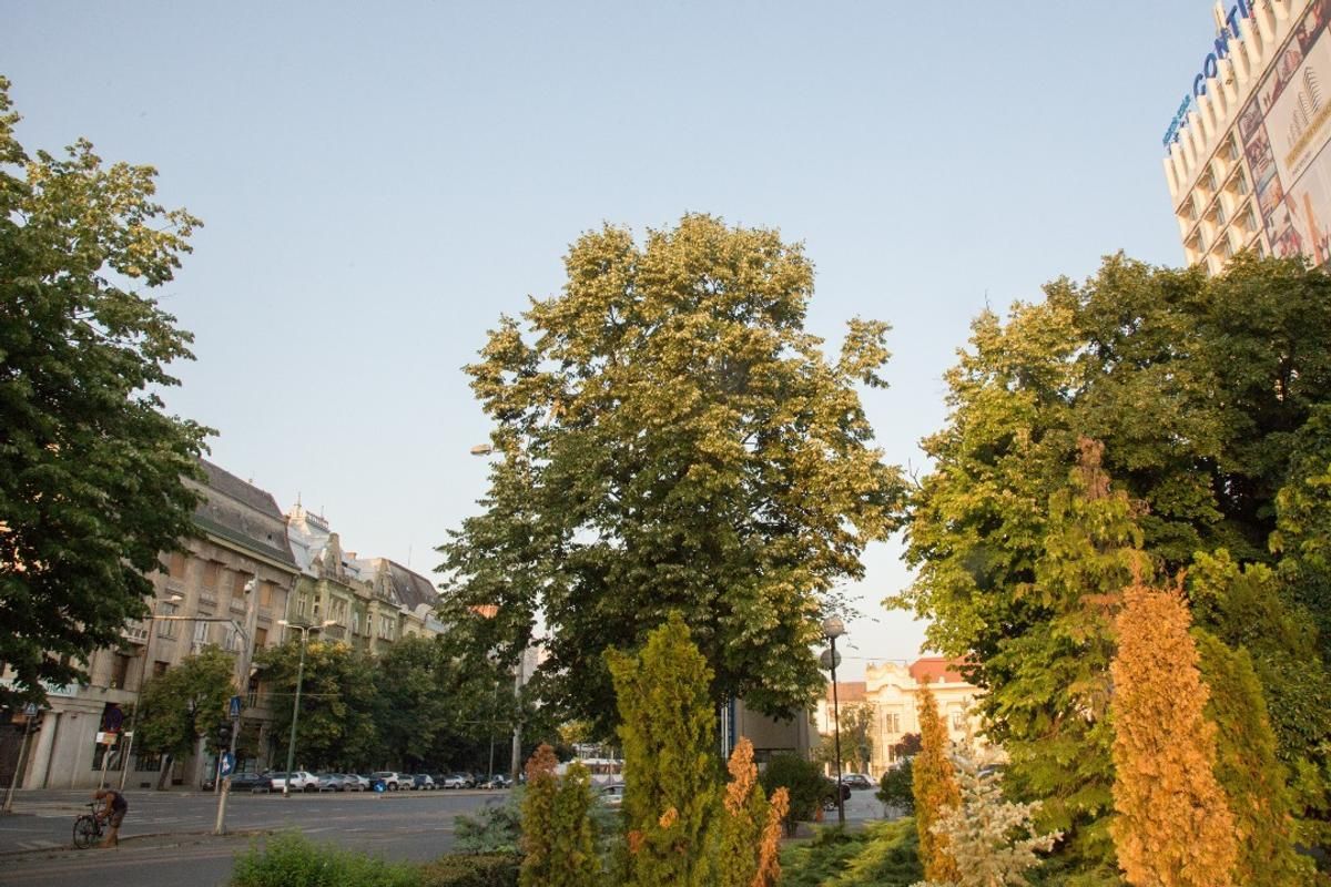 Apart ultracentral Medicina dentara -Hotel Continental - Poză 3