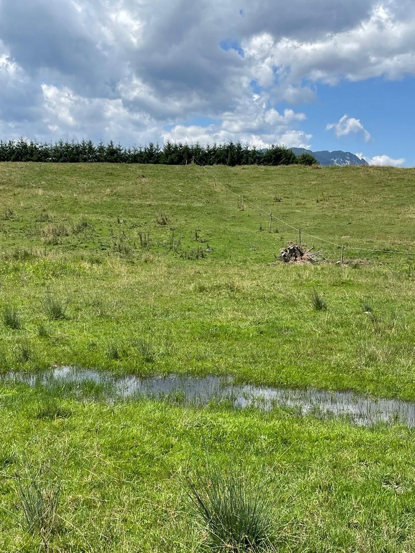 INVESTIȚIE | Teren 5000 mp PUZ APROBAT intravilan - zona Sohodol -Bran - Poză 11
