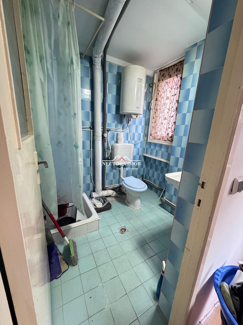 NECTORA IMOB-Spatiu comercial P+M, Ultracentral, Zona Piața Ferdinand - Poză 10