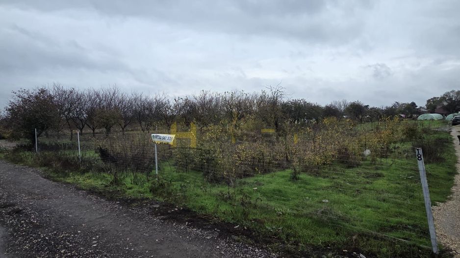 Teren Aleea Viilor Adunatii Copaceni - Poză 3