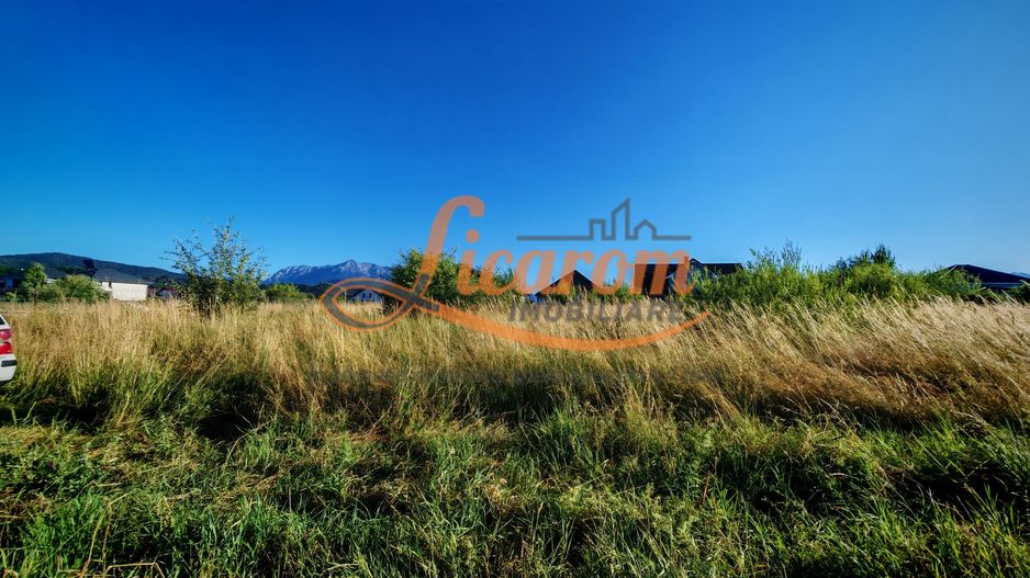 Teren intravilan 1000 mp pt construcții case Cristian str Nisipului - Poză 3