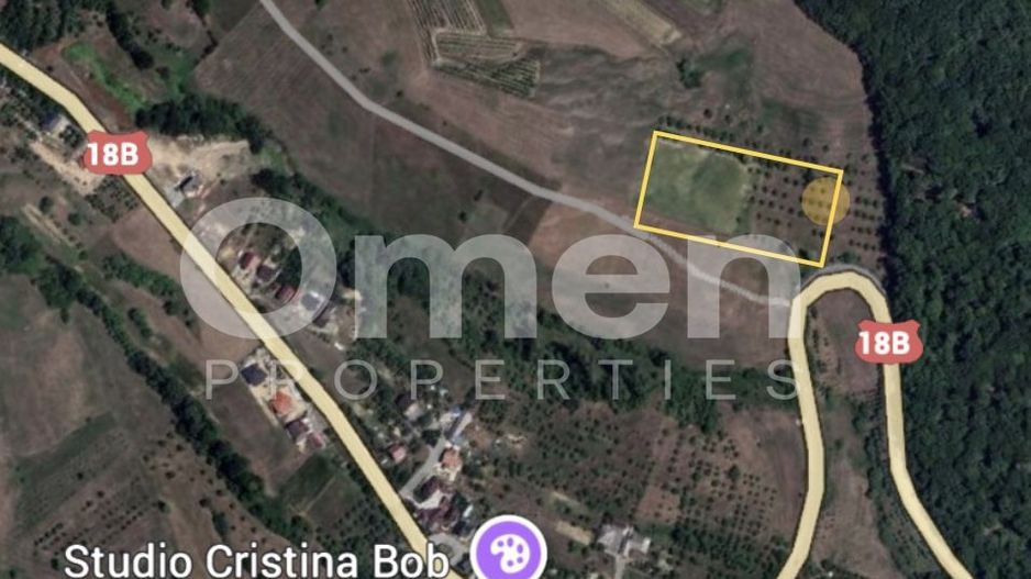 Teren intravilan de vânzare 7.000 mp – Groși, spre Dumbrăvița - Poză 3