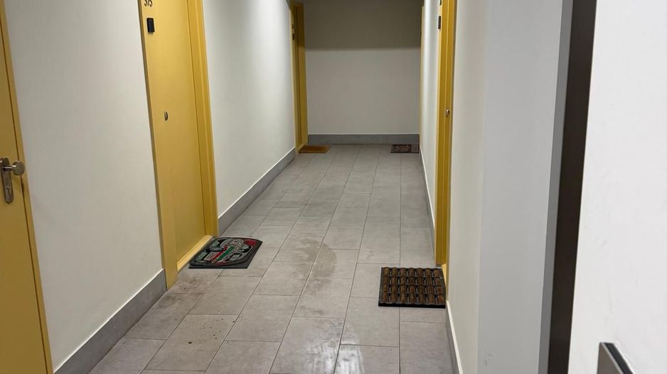 Aviatiei Park - Poză 2