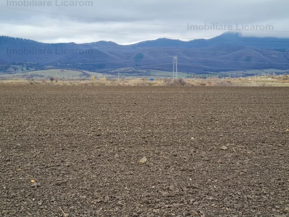 Teren Agricol 2,9 HA,intre Cristian si Vulcan/teren SPORT - Poză 2